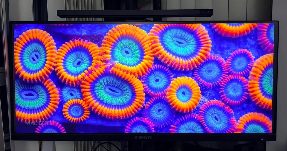 Gigabyte M34WQ 144Hz Gaming Monitor - photo 4