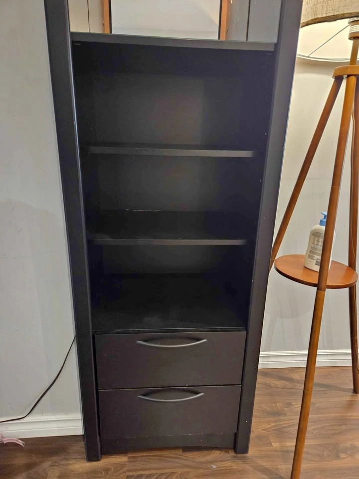 Wayfair book shelf with mirror and light