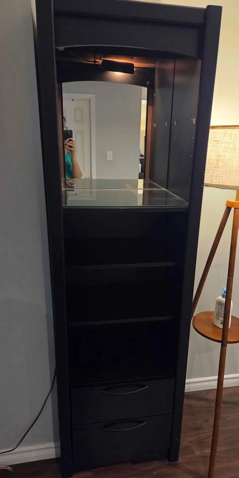 Wayfair book shelf with mirror and light - photo 3
