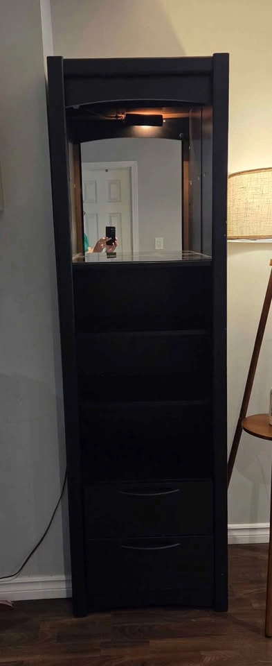 Wayfair book shelf with mirror and light - photo 4