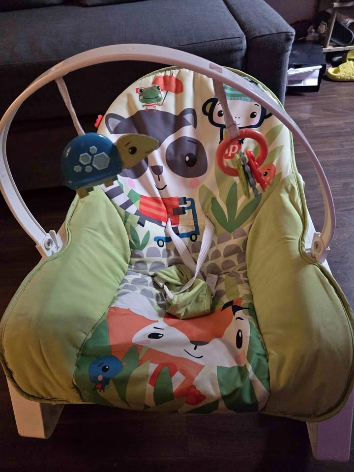 Fisher Price infants to toddlers rocker