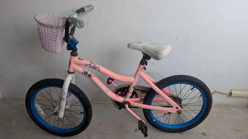 Monster high 18 inch bike for girls