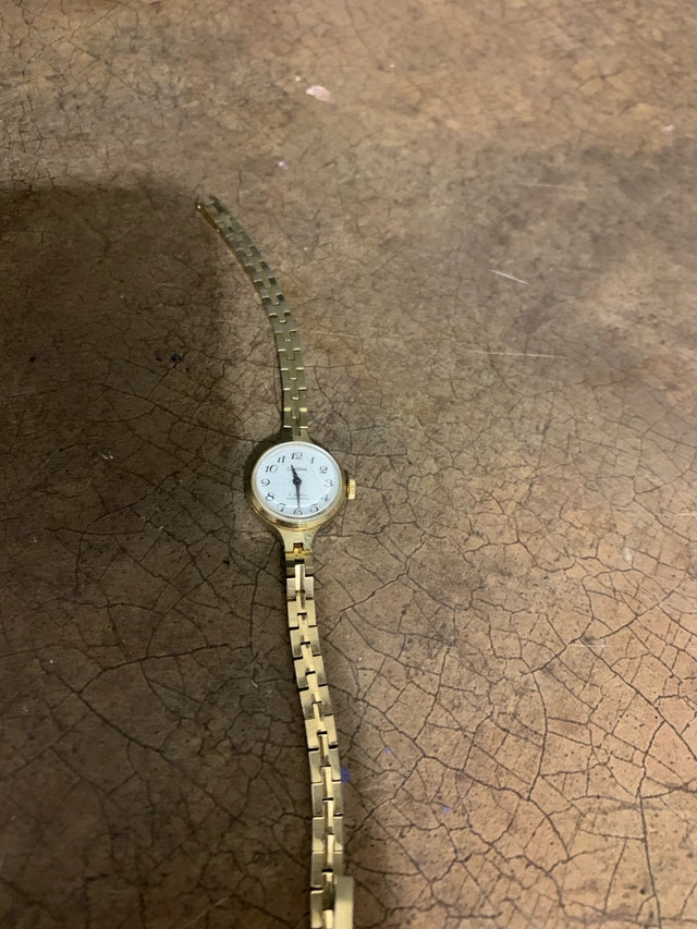 Cardinal Women's Gold-Tone Watch