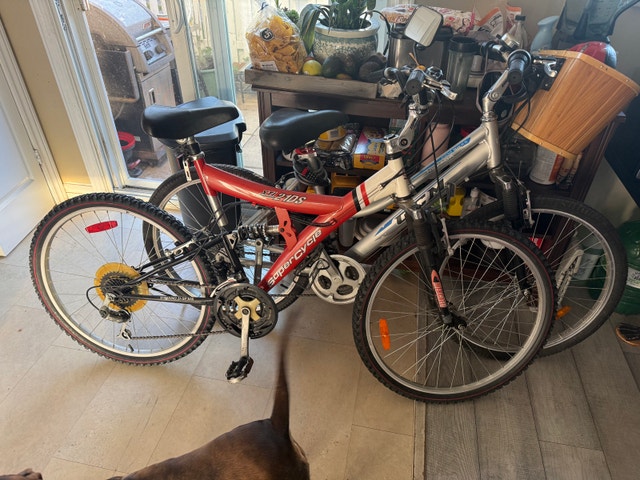 Supercycle Mountain Bike need gone asap