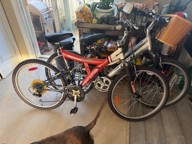Supercycle Mountain Bike need gone asap - photo 2