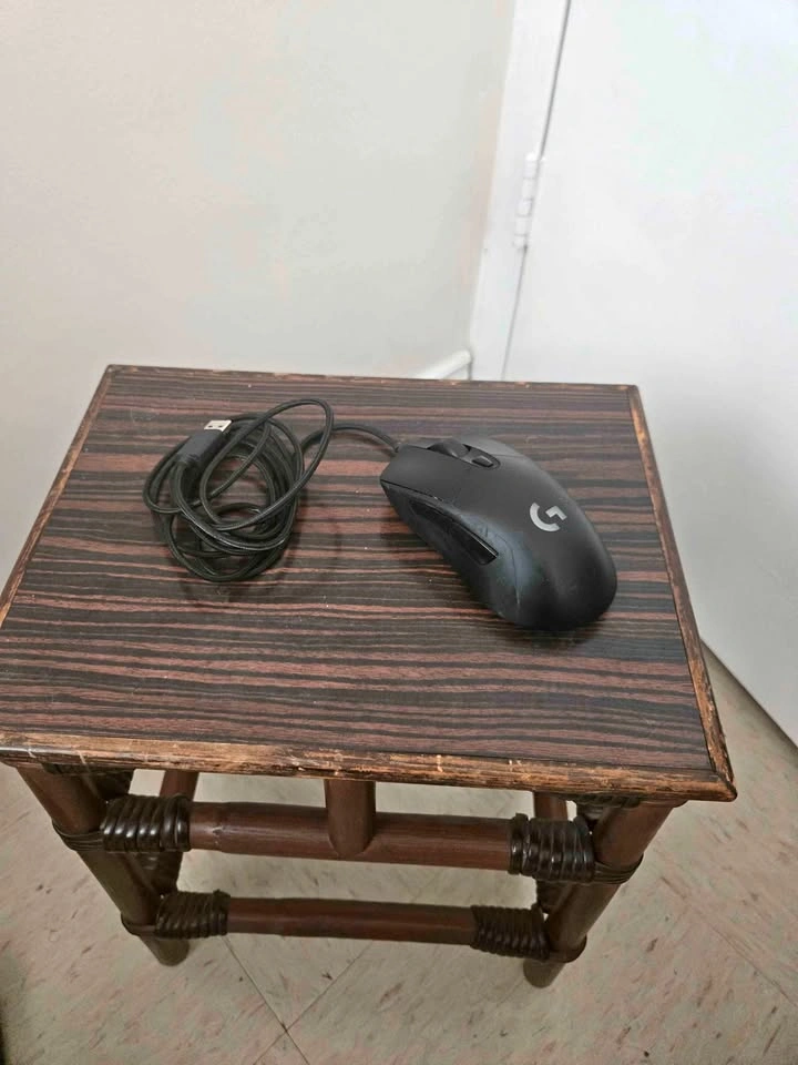 Logitech Mouse