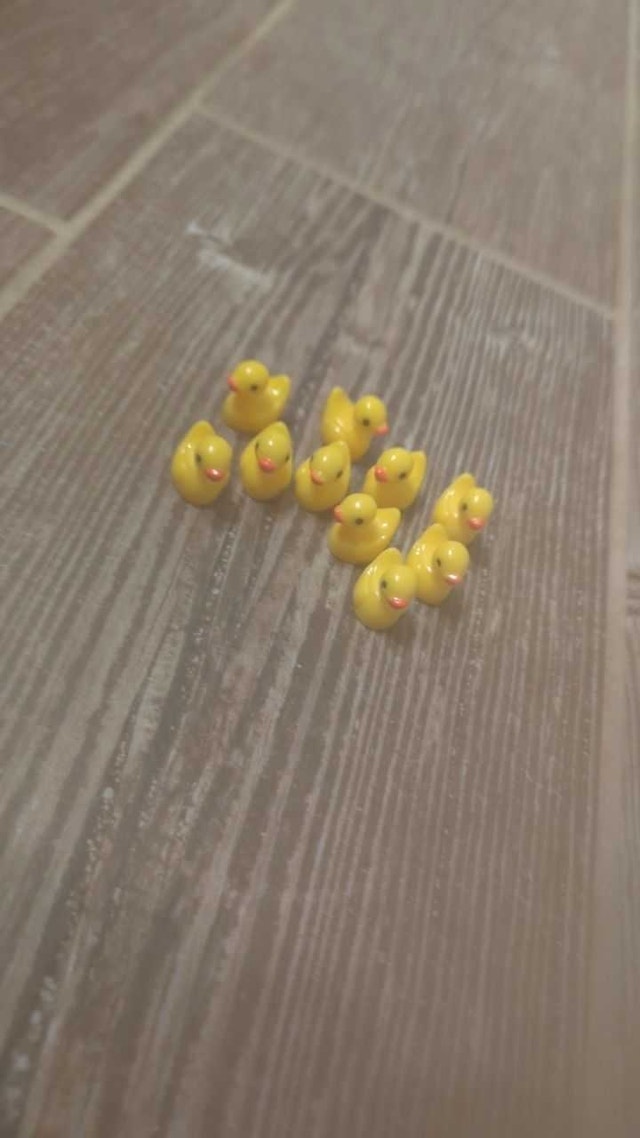 10 Mini Duck Figurines