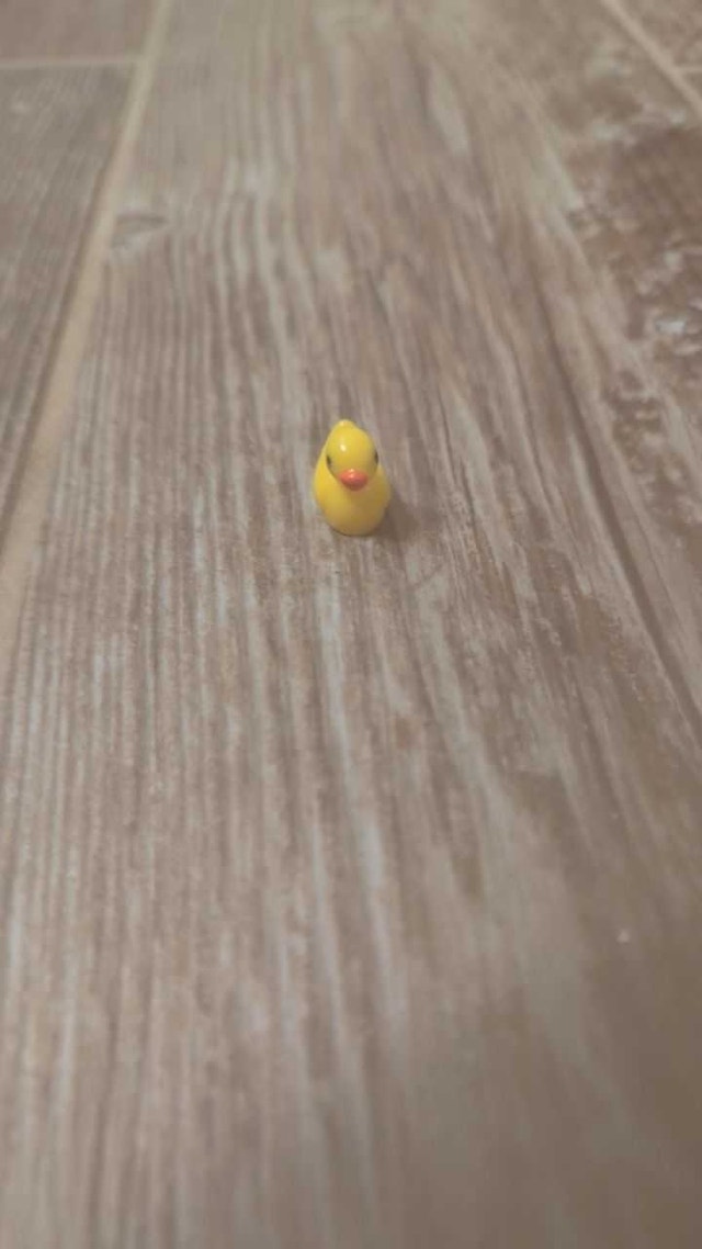 10 Mini Duck Figurines - photo 4