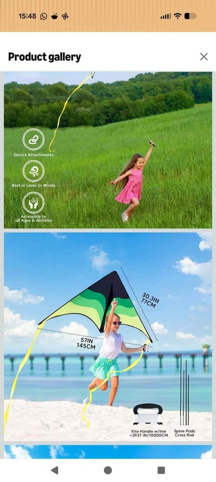 Syncfun Delta kites 2 pieces Green and Blue colors - photo 3
