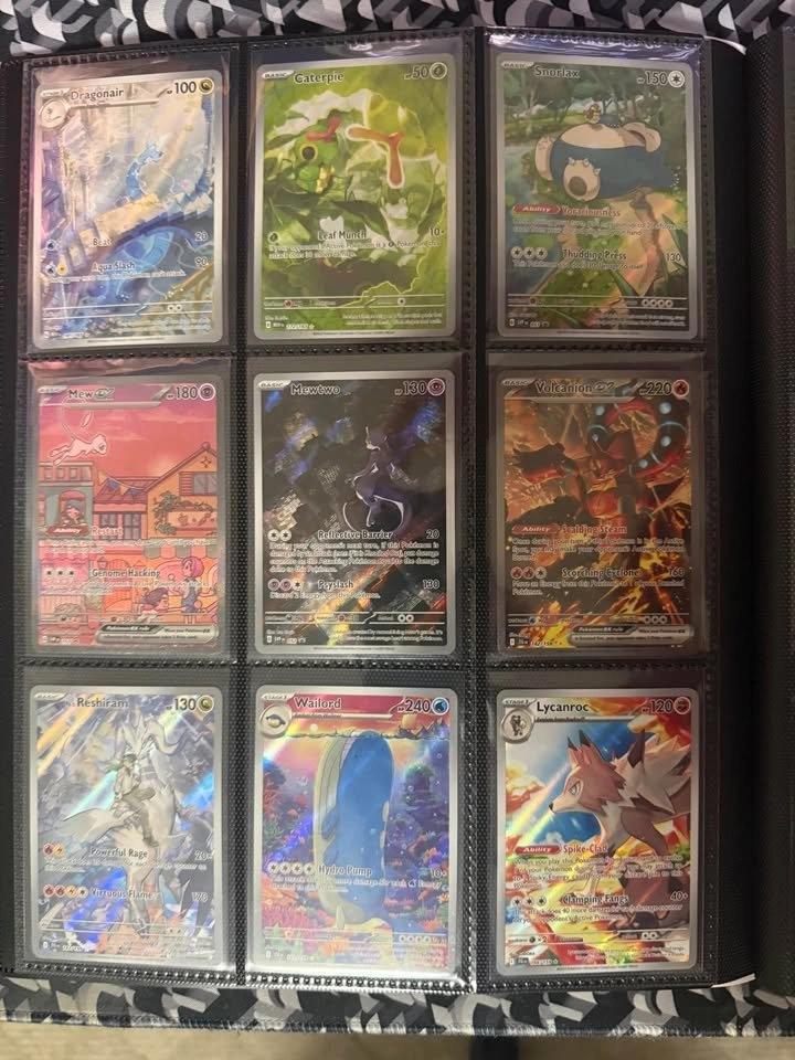 Pokemon Raw Collection - photo 5
