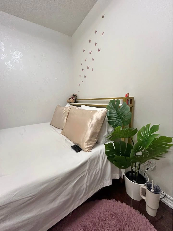 Queen Bed Frame + Mattress