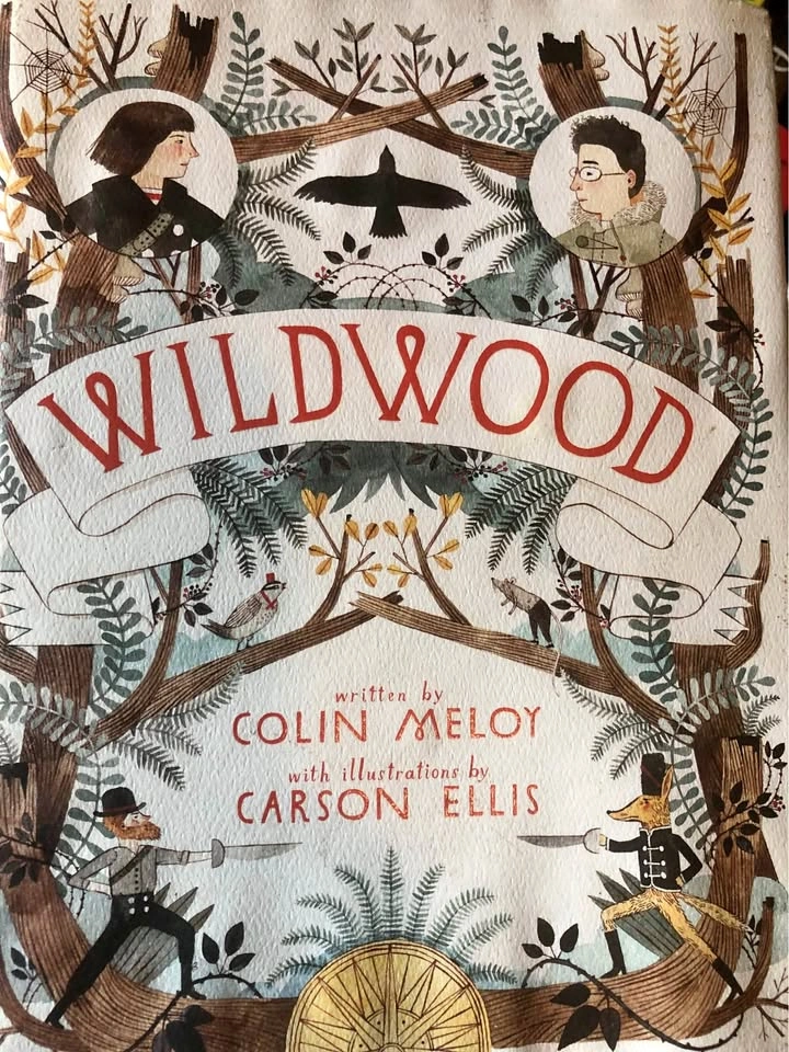 ⚽️ Wildwood by Colin Melody