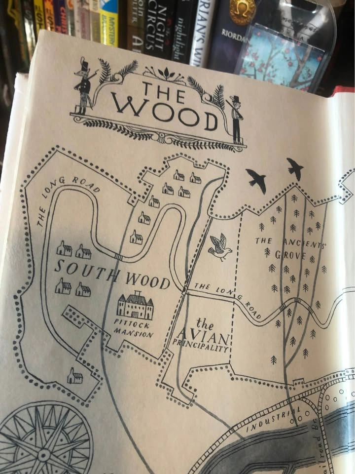 ⚽️ Wildwood by Colin Melody - photo 3