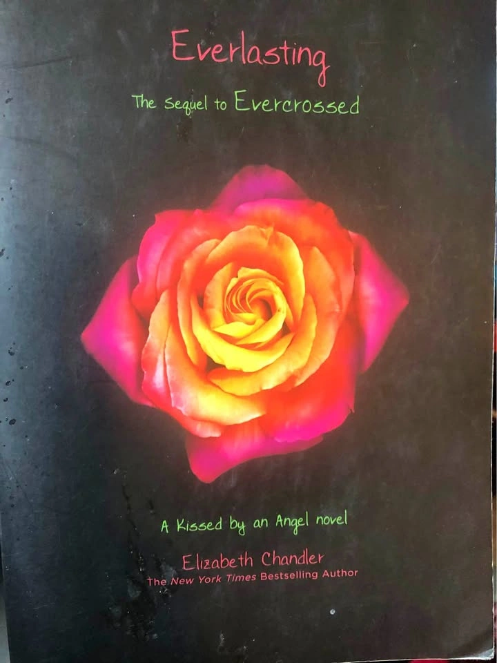 ⚽️ Everlasting by Elizabeth Chandler
