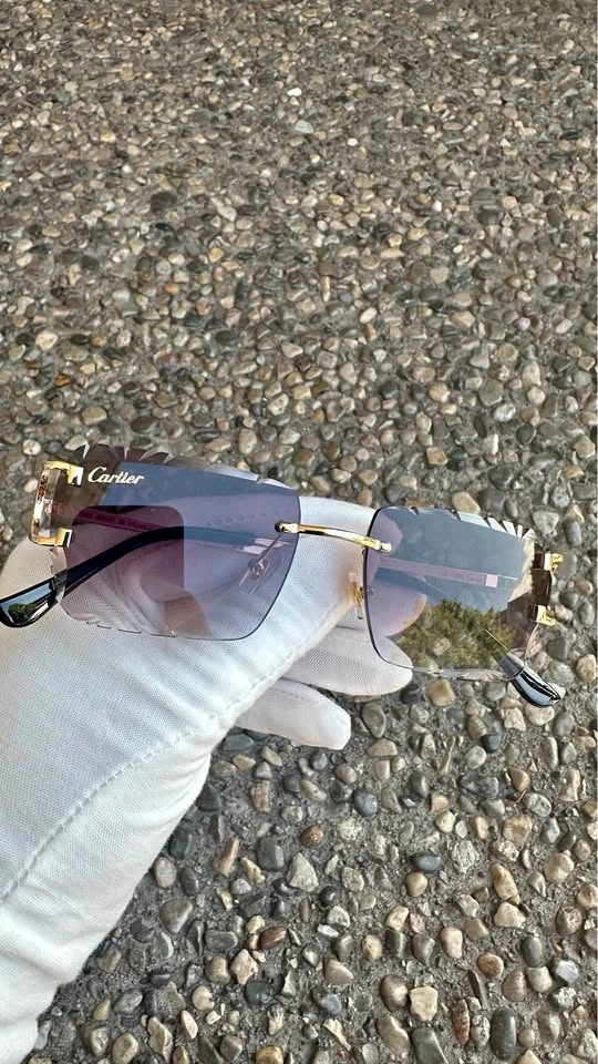 Cartier sunglasses (BRAND NEW)