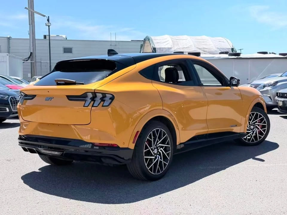 2022 Ford Mustang Mach-E GT Performance Edition AWD - photo 4