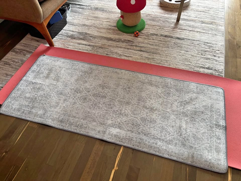 5 x 2 ft indoor area rug