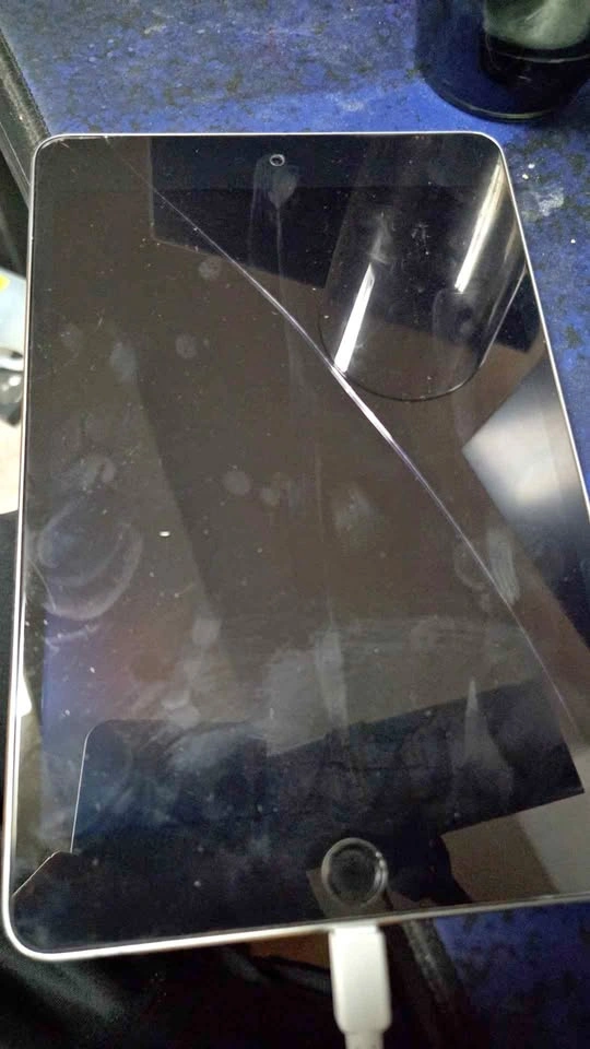 Ipad Mini 4