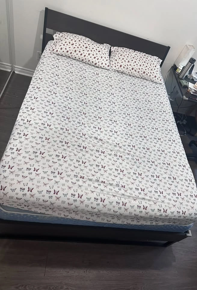 Ikea Queen Bed Mattresses & Frame with Box spring - photo 3