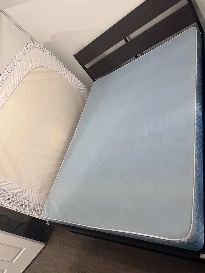 Ikea Queen Bed Mattresses & Frame with Box spring - photo 4