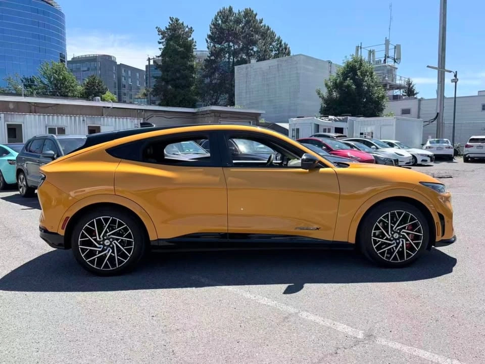 2022 Ford Mustang Mach-E GT Performance - photo 2