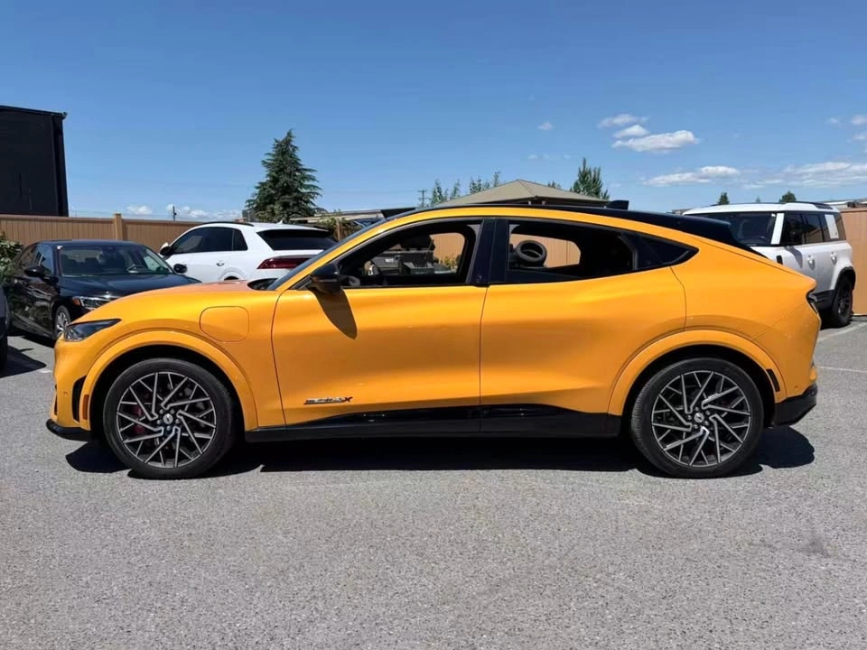 2022 Ford Mustang Mach-E GT Performance - photo 3