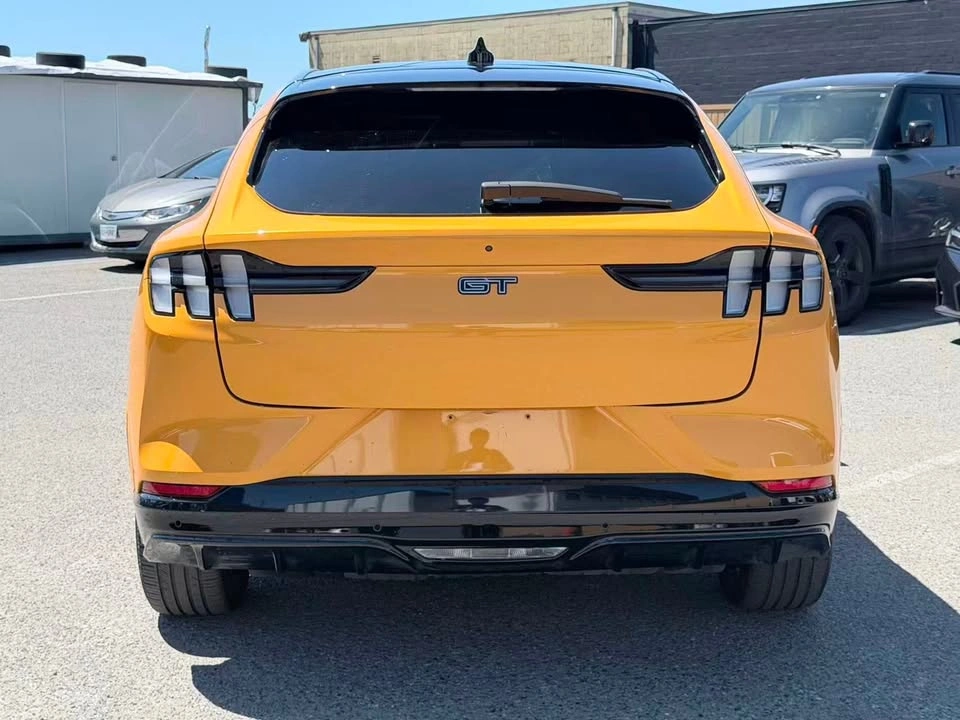 2022 Ford Mustang Mach-E GT Performance - photo 4