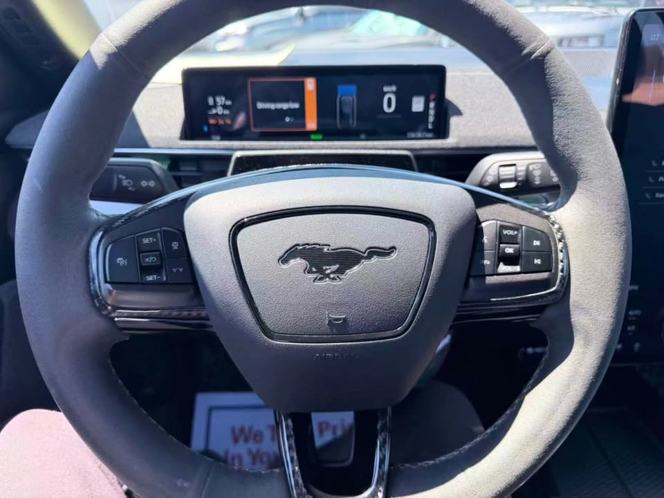 2022 Ford Mustang Mach-E GT Performance - photo 5