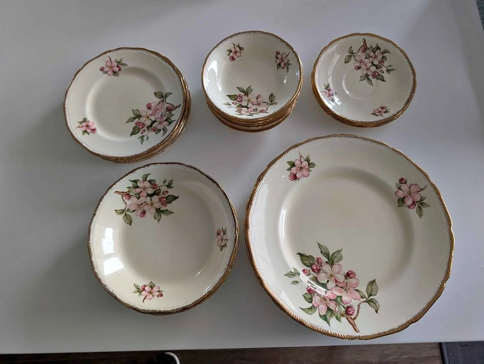 Royal Swan Blossomtime 24pc plate/bowl set