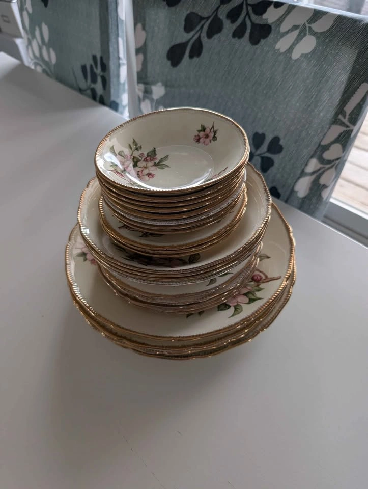Royal Swan Blossomtime 24pc plate/bowl set - photo 2
