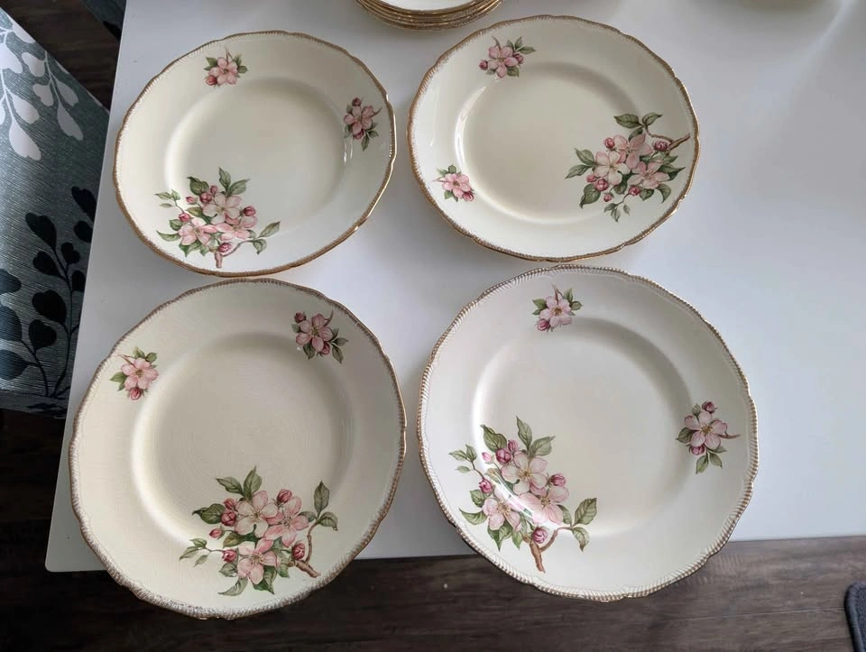 Royal Swan Blossomtime 24pc plate/bowl set - photo 3