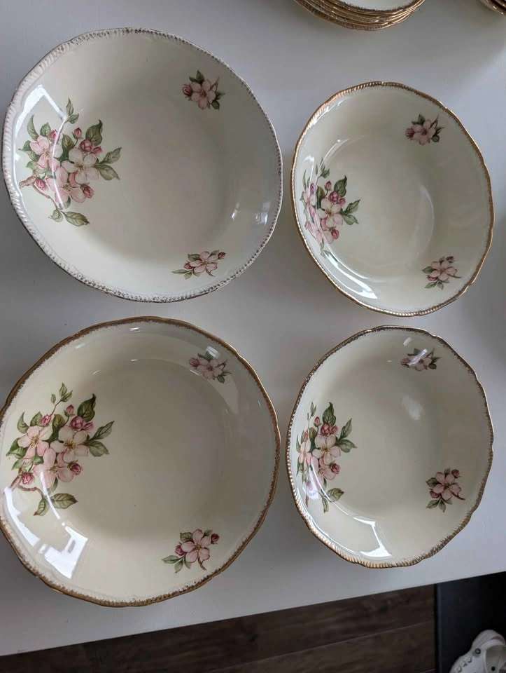 Royal Swan Blossomtime 24pc plate/bowl set - photo 4