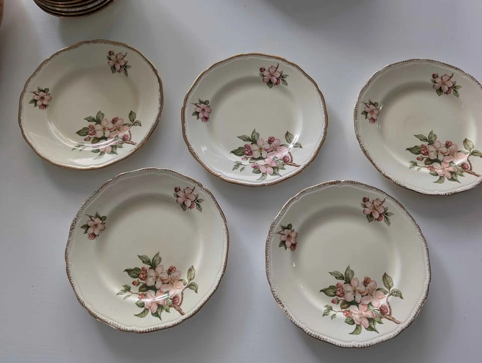 Royal Swan Blossomtime 24pc plate/bowl set - photo 5