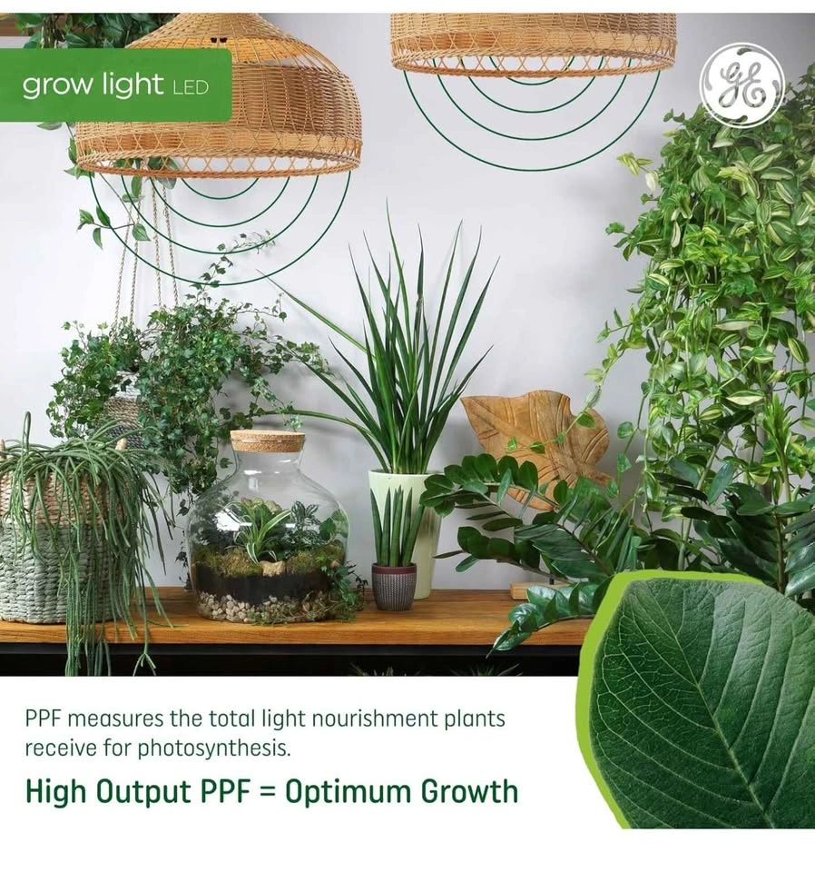 GE Grow Lights for Indoor Plants, T8 LED 6 Pack - photo 5