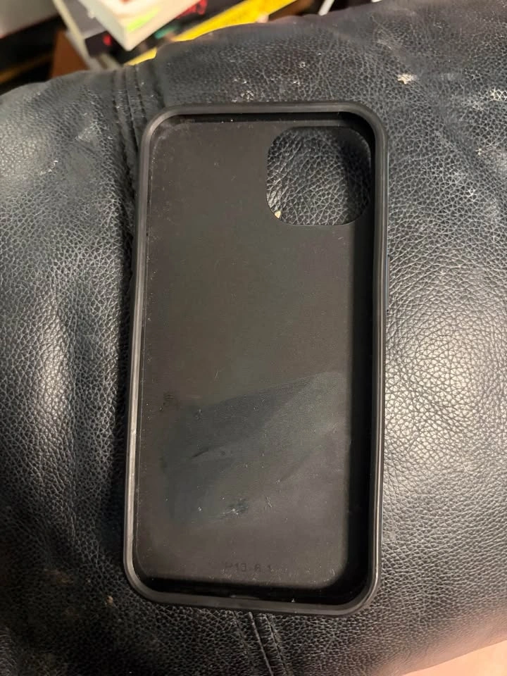 iPhone 13 Raven Art Phone Case - photo 2
