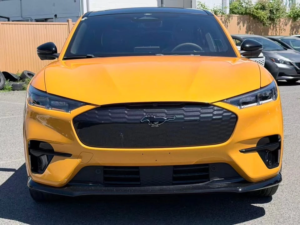 2022 Ford MUSTANG MACH-E GT AWD - photo 3