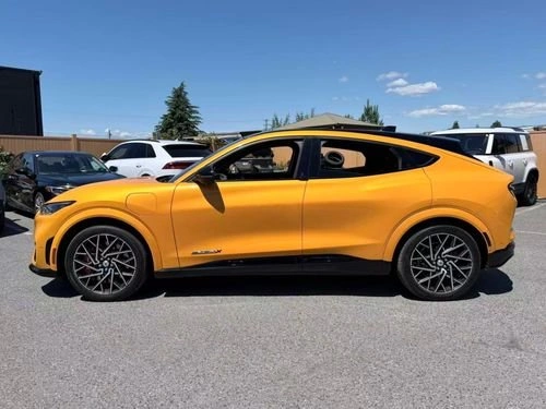 2022 Ford MUSTANG MACH-E GT AWD - photo 5
