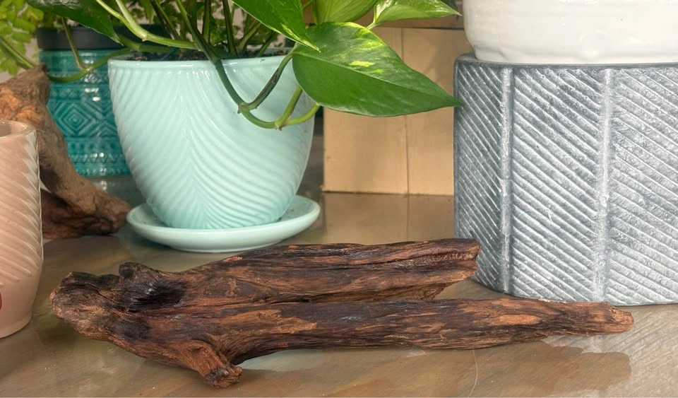 Rustic paintbrush holders- Artist decor - photo 2