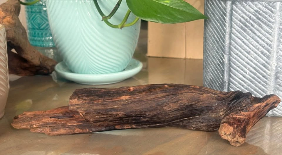 Rustic paintbrush holders- Artist decor - photo 3