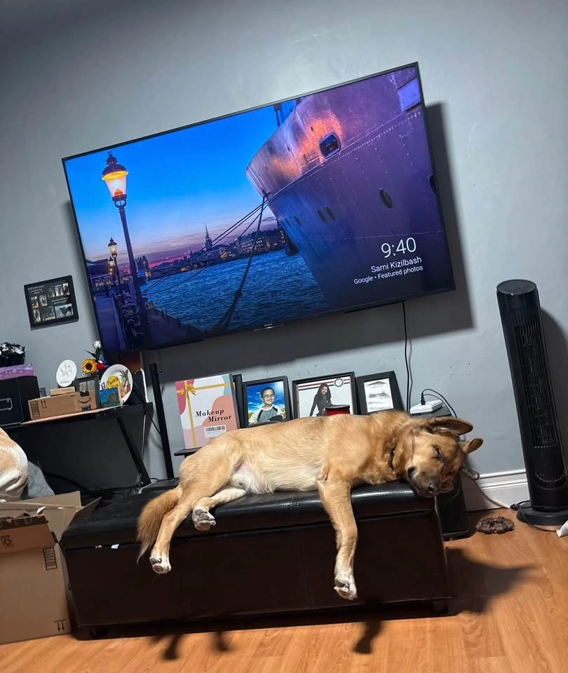 2015 Sony Bravia TV open to negotiation - photo 2