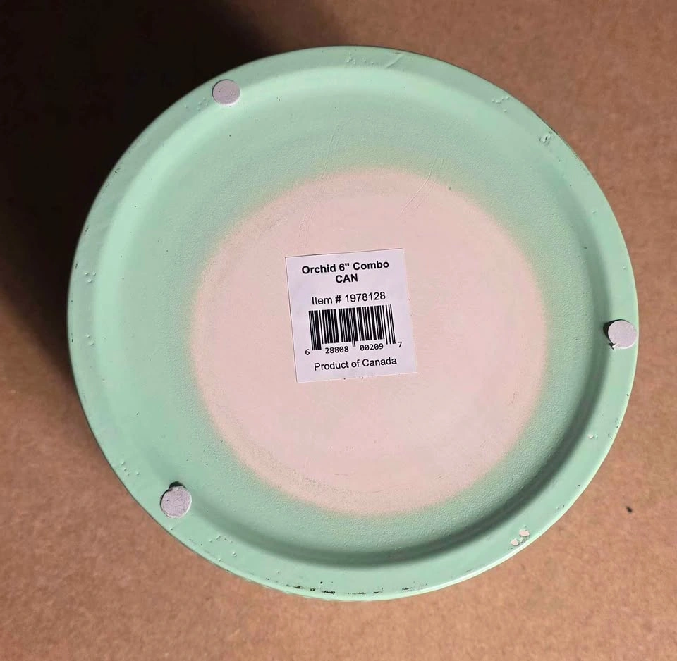 6" Ceramic Orchid Pots (Set of 3) - Pastel Easter Colors ⚽ - photo 4