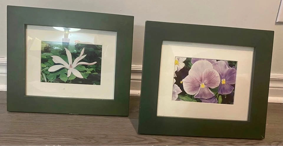 Set of 2 Vintage Green Wood Framed Floral Wall Art