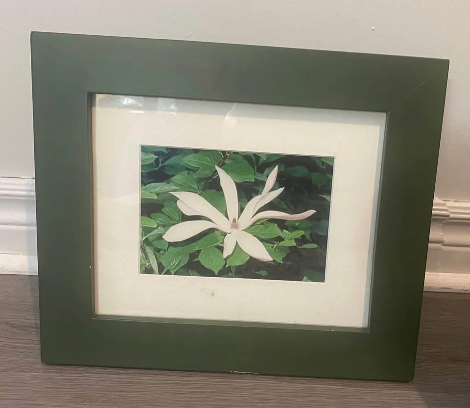 Set of 2 Vintage Green Wood Framed Floral Wall Art - photo 2
