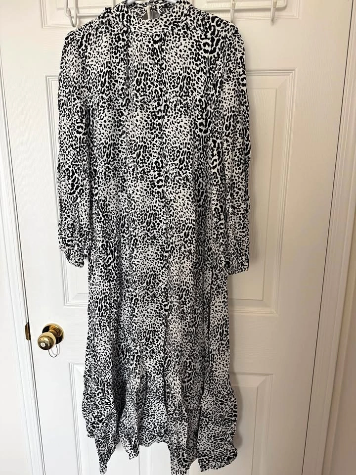 Print Zara dress