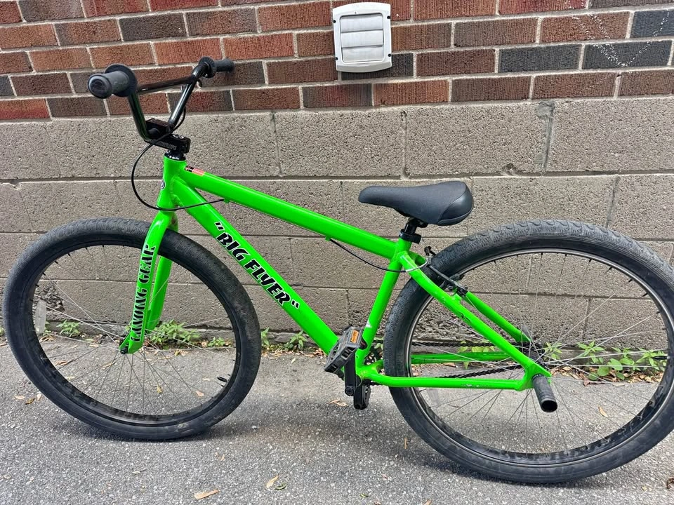 SE BIG FLYER Bike