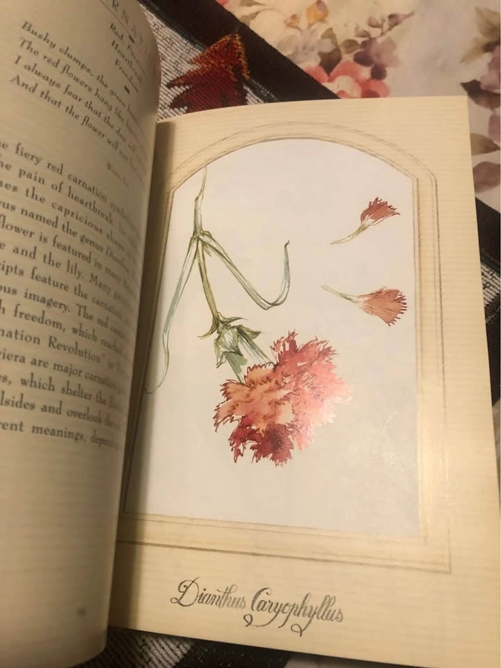 ⚽️ The Language of Flowers - photo 2