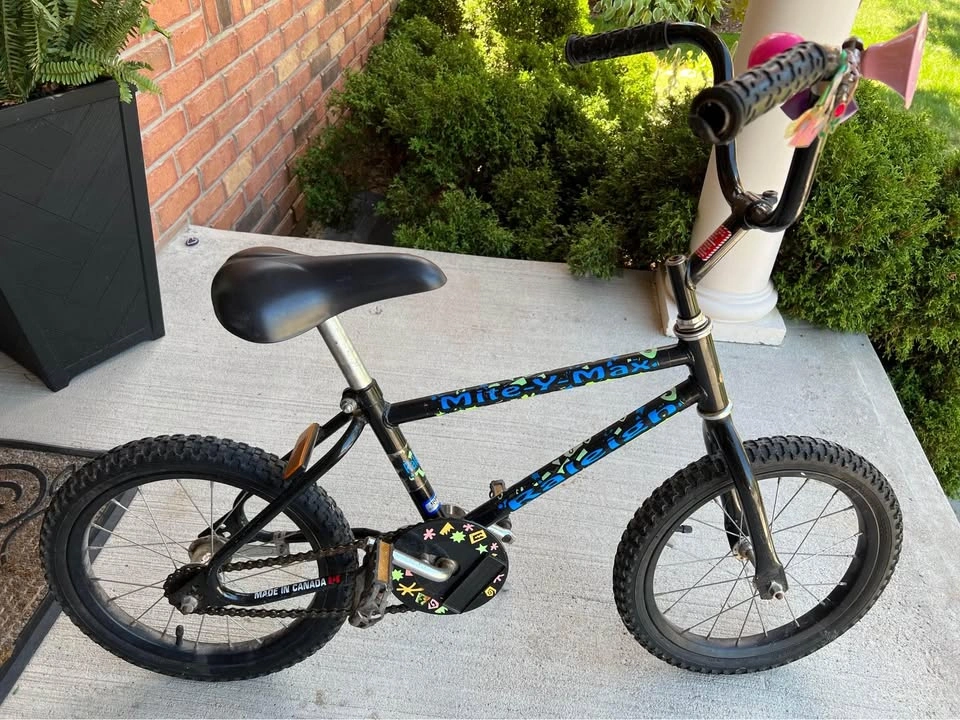 Raleigh kids bike