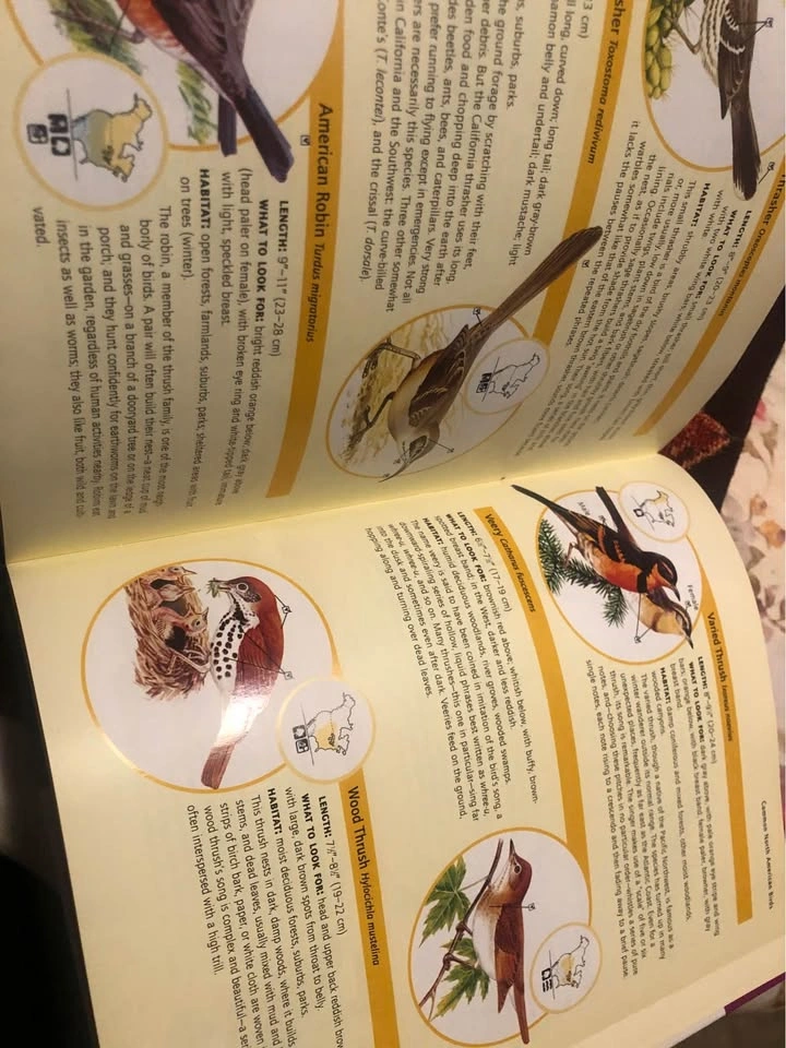 ⚽️ Birds in Your Backyard by Readers Digest - photo 3
