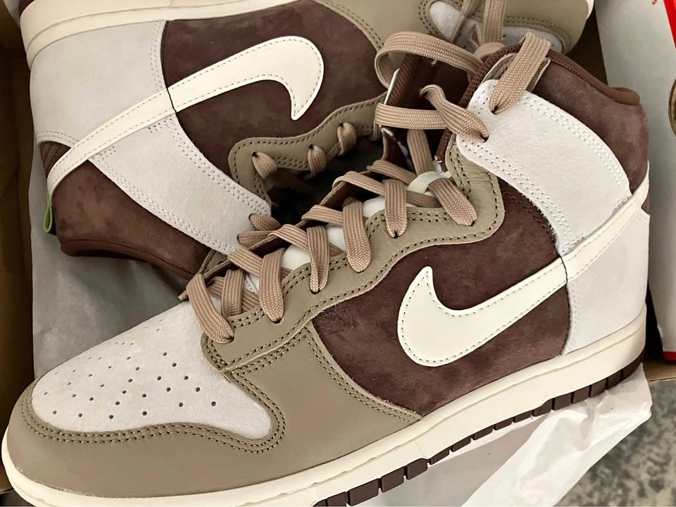 Nike Dunk Hi Retro PRM