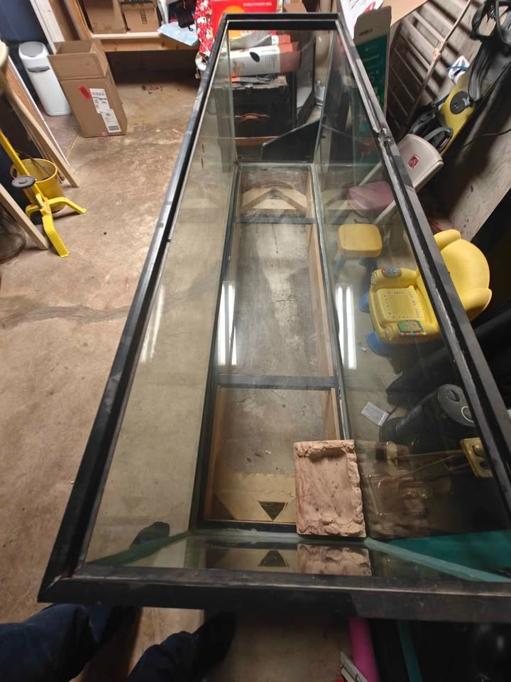 Custom Glass Terrarium — 72"L × 19"W × 22"H with Stand - photo 2
